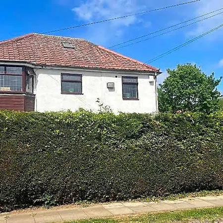 Camaraderie 3*