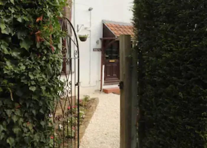 Camaraderie Guest house York