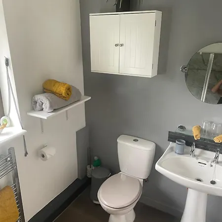 Camaraderie ヨーク