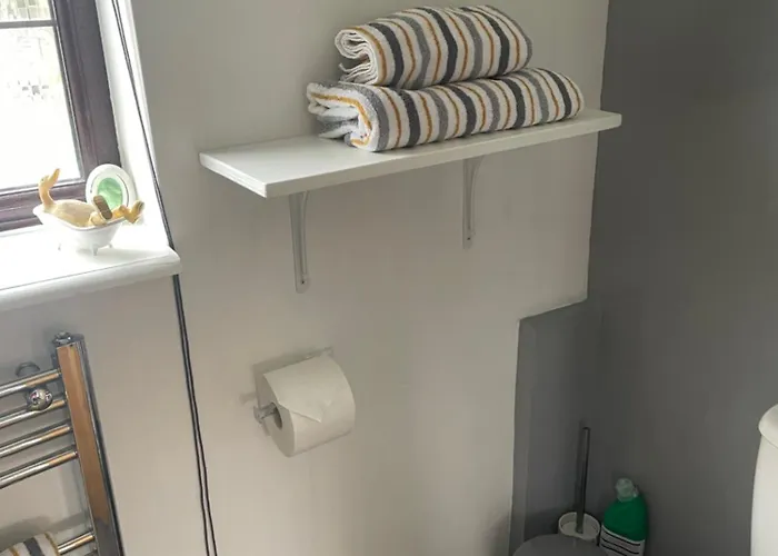 Camaraderie 招待所